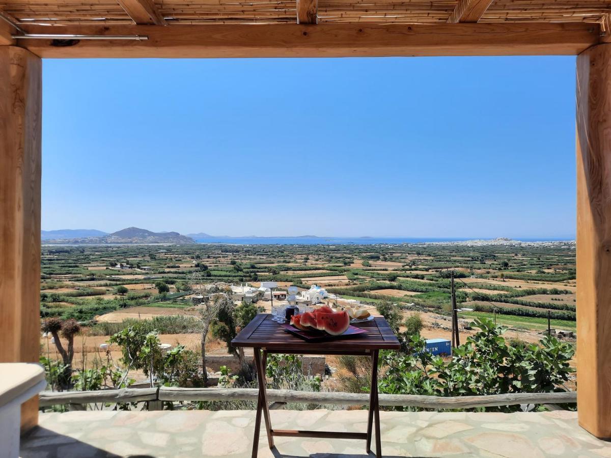 Janakos View Apartamento Glinado Naxos